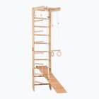 RINAGYM SPR B+SLIDE gymnastic ladder