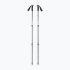 Black Diamond Alpine Carbon tundra trekking poles