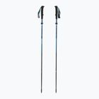 Black Diamond Distance Carbon Flz desert sky trekking poles