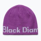 Winter hat Black Diamond Reversible Beanie piton purple/alloy
