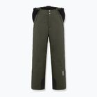 Men's Colmar Sapporo-Rec ski trousers forest green