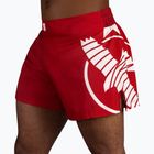 Hayabusa Icon men's training shorts Kickboxing red