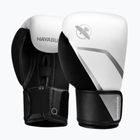 Boxing gloves Hayabusa E1 Boxing white/silver