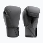 Boxing gloves Hayabusa T360 Boxing charcoal