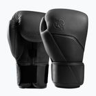 Boxing gloves Hayabusa E1 Leather black