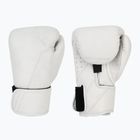 Boxing gloves Hayabusa T360 Leather white