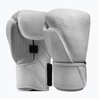 Boxing gloves Hayabusa T360 Leather white