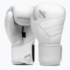 Hayabusa T3 Kanpeki arctic white boxing gloves