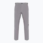 Men's Dainese Dermizax Ev silver/filigree ski trousers