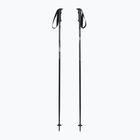 Ski poles Fizan Storm gey