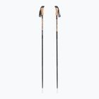 Trekking poles Fizan Compact 1947 desert