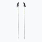 Trekking poles Fizan Compact green