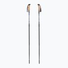 Trekking poles Fizan Compact grey