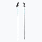 Trekking poles Fizan Compact water green
