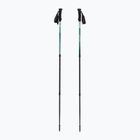 Trekking poles Fizan Trek Pro dark green