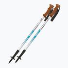 Trekking poles Fizan Tierra light blue