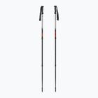 Trekking poles Fizan Explorer beige/red