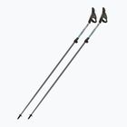 Nordic walking poles Fizan Carbon Pro Impulse grey