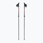 Nordic walking poles Fizan R-Evolution Pro red