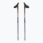Nordic walking poles Fizan Speed Junior rainbow
