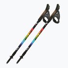 Nordic walking poles Fizan Speed Junior rainbow