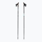 Nordic walking poles Fizan Lite Tech light blue