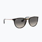 Children's sunglasses Ray-Ban Erika havana/grey