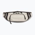 Oakley Enduro Belt Bag 4.5 l mist kidney pouch