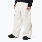 Men's Snowboard Trousers Oakley Channel Cargo Mist