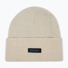 Winter hat Oakley B1B Gradient Patch Beanie mist