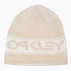 Winter hat Oakley TNP Reversible mist