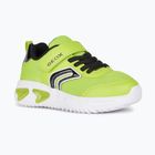 Geox Assister junior shoes lime/black