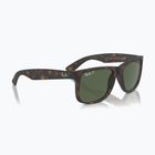 Sunglasses Ray-Ban Justin Classic havana/dark green polarized