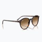 Sunglasses Ray-Ban Bernard havana/brown gradient