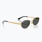 Sunglasses Ray-Ban RB3774D arista gold/dark grey