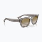 Sunglasses Ray-Ban RB2228M Scuderia transparent grey/brown mirror gold