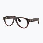 Glasses with a camera Ray-Ban Meta Aviator transp. umber/trs jade