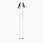 Fizan Action ski poles white