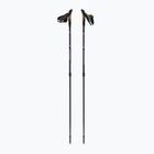 Fizan Speed vilet Nordic walking poles