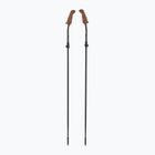 Fizan Walx Pro Nordic walking poles
