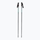 Fizan Compact 4 water green trekking poles