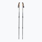 Fizan Adventure desert trekking poles