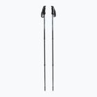 Fizan Prestige sugar paper trekking poles
