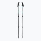 Fizan Voyager petrol trekking poles