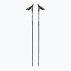 Nordic walking poles Fizan Lite 4 grey