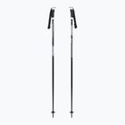 Ski poles Fizan Action Pro grey