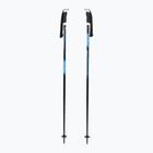 Ski poles Fizan Action Pro blue