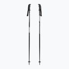 Ski poles Fizan Action grey