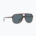 Sunglasses Ray-Ban Bill havana/blue