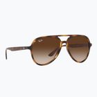 Sunglasses Ray-Ban RB4376 havana/brown gradient